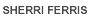 Protocol Professionals, Inc., President & CEO, Sherri Ferris