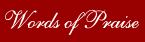 Words of Praise for the Services of Protocol Professionals, Inc.