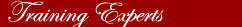 Protocol Professionals, Inc. Training Experts